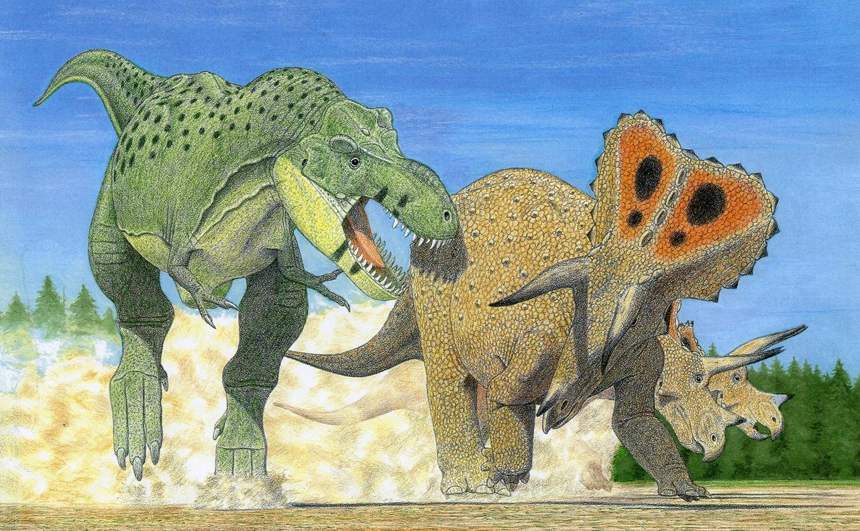 Zwei neue Verwandte für T. rex?