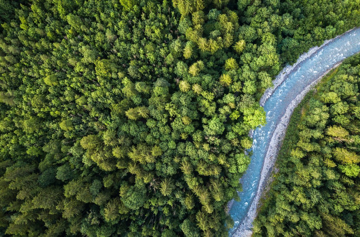Eine globale Karte der Baumhöhen