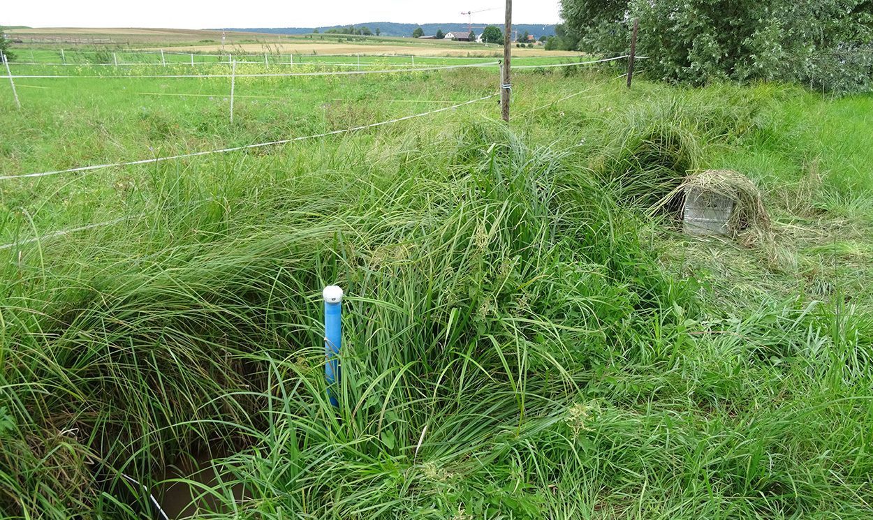 Feldbäche senken Nitratbelastung im Grundwasser