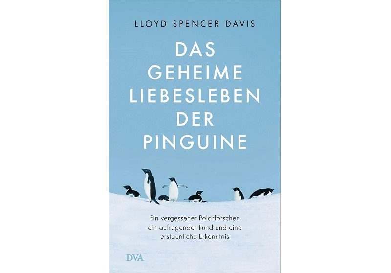 Betrug, Prostitution und Gewalt