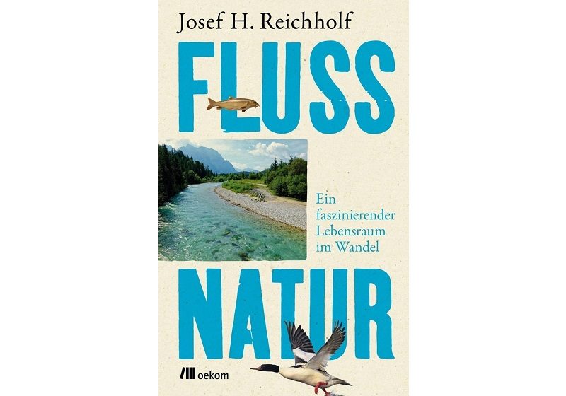 Die Rache der Flüsse