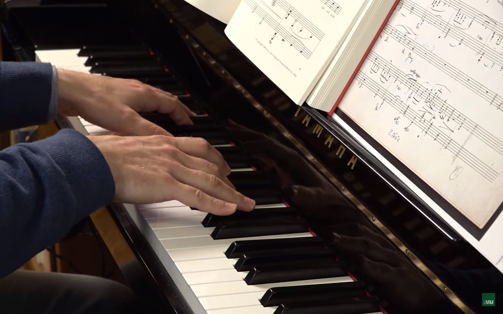 Richard Strauss im Fokus der Musikforschung