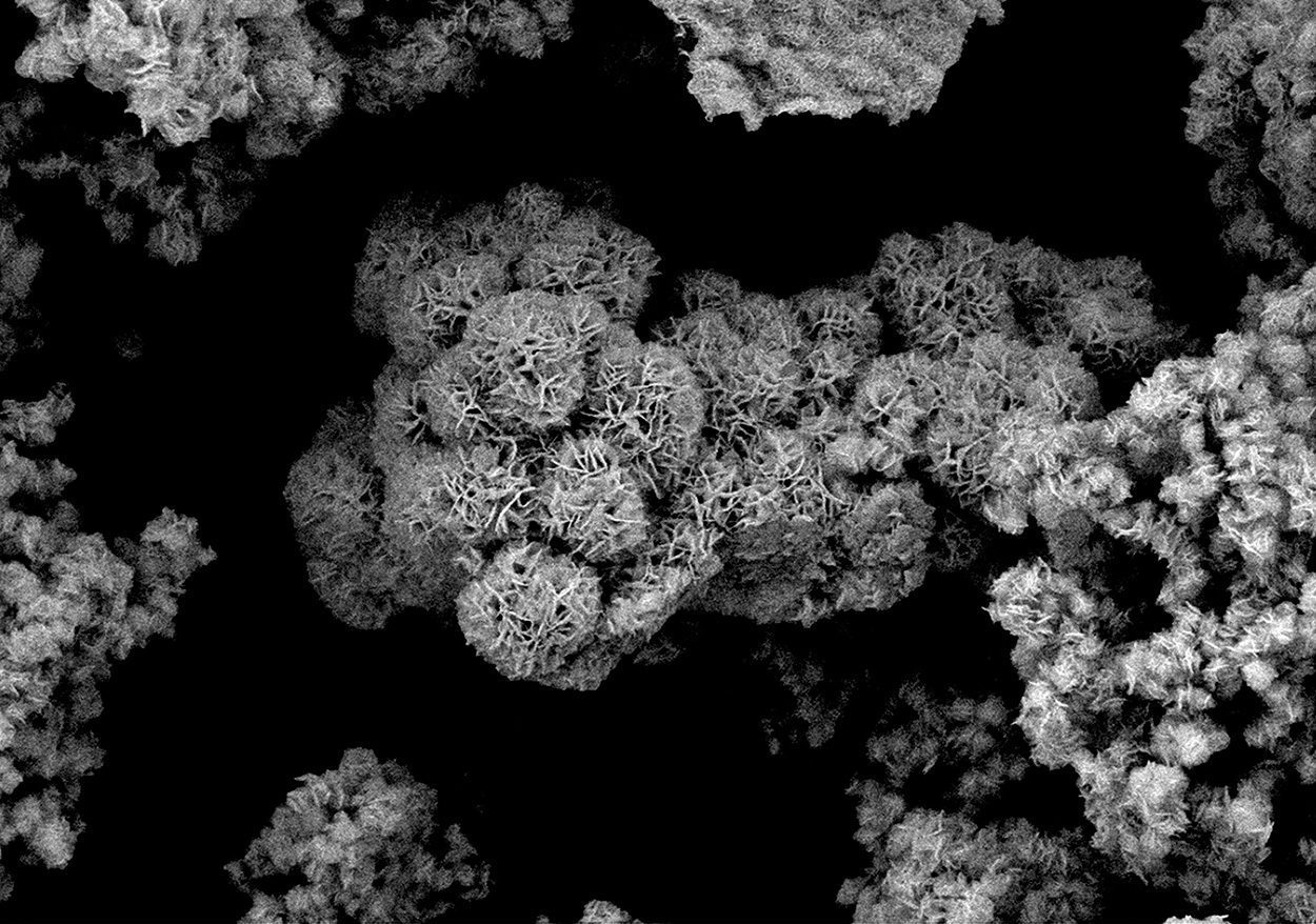 Filigrane Strukturen für die CO2-Umwandlung