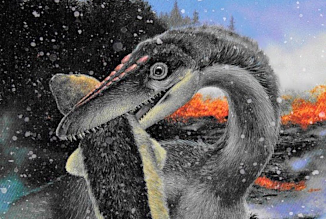Dinosaurier: Karriere mit eisigem Start?