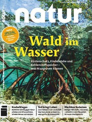 Wald im Wasser
