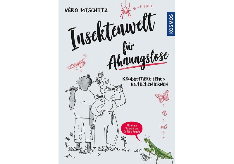 Schwirren, fliegen, krabbeln