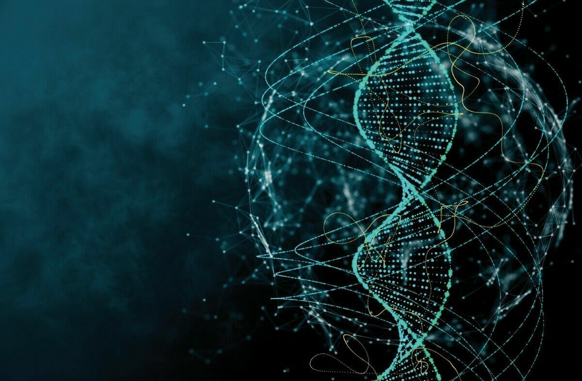 Die DNA der Dinge