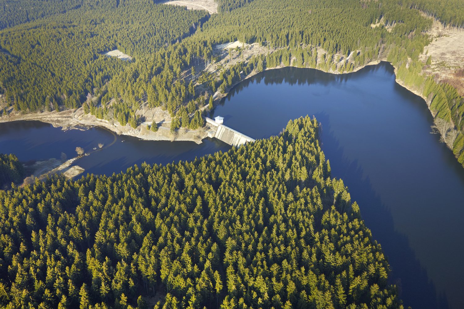 Wie Waldverlust die Trinkwasserqualität bedroht
