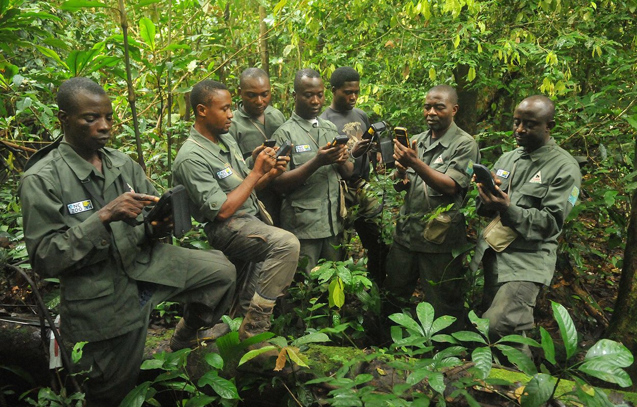 Wirksamer Naturschutz braucht mehr Ranger