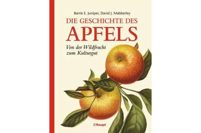 Der lange Weg in die Obstschale