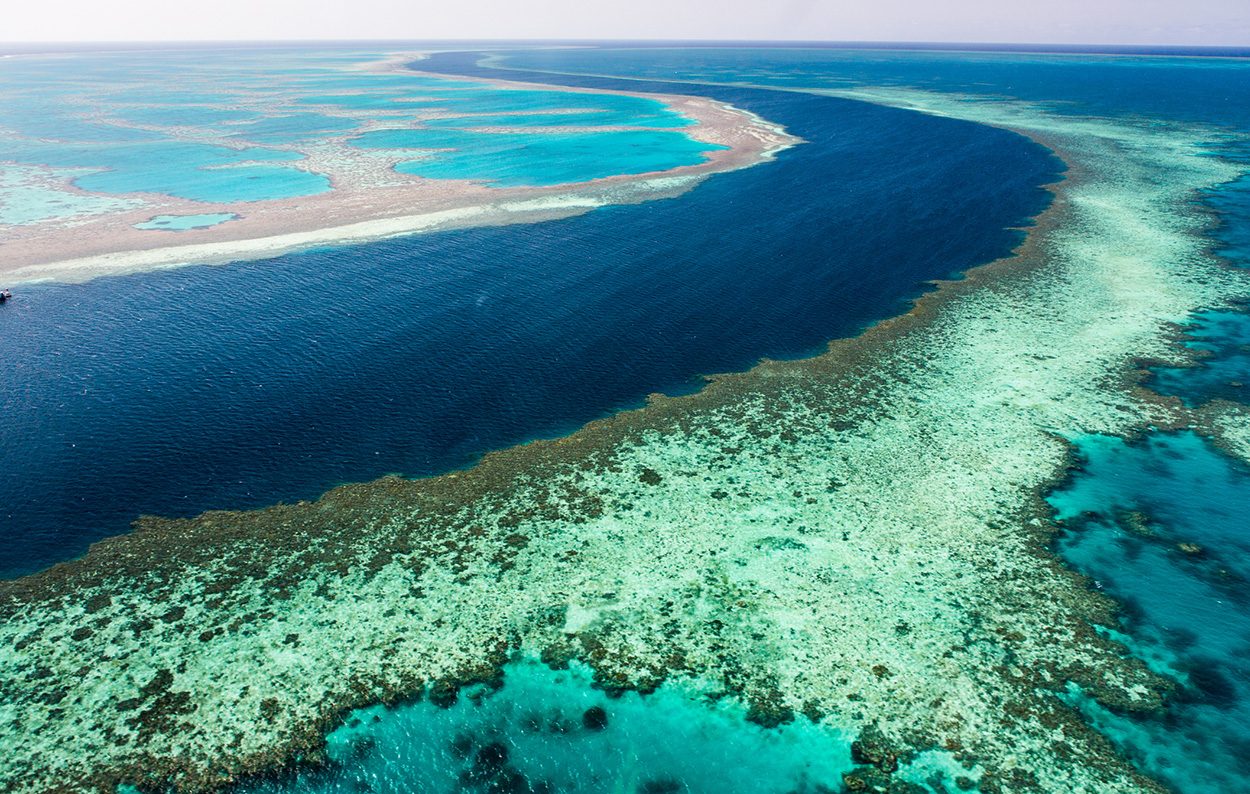 Entstehung des Great Barrier Reefs geklärt