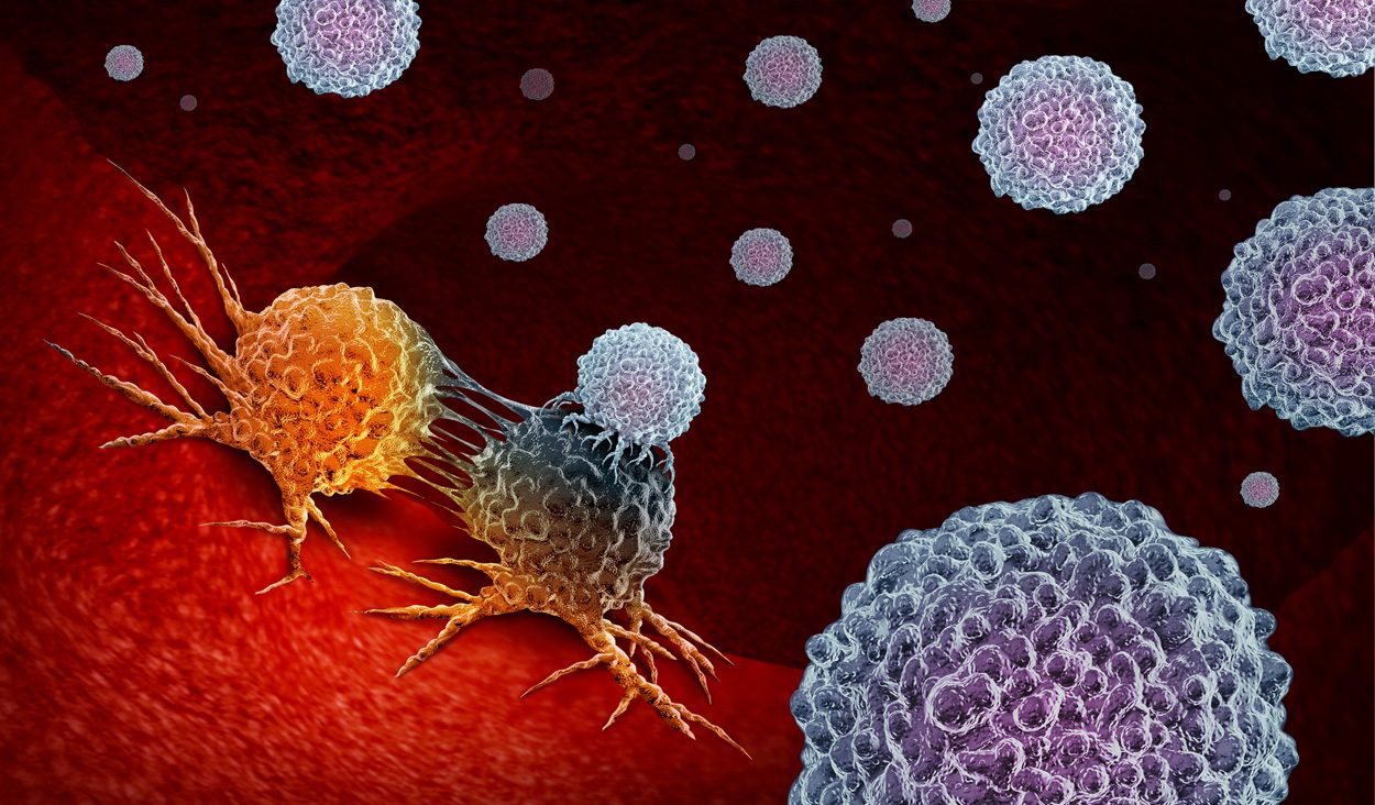 Genetisch veränderte Immunzellen gegen Krebs