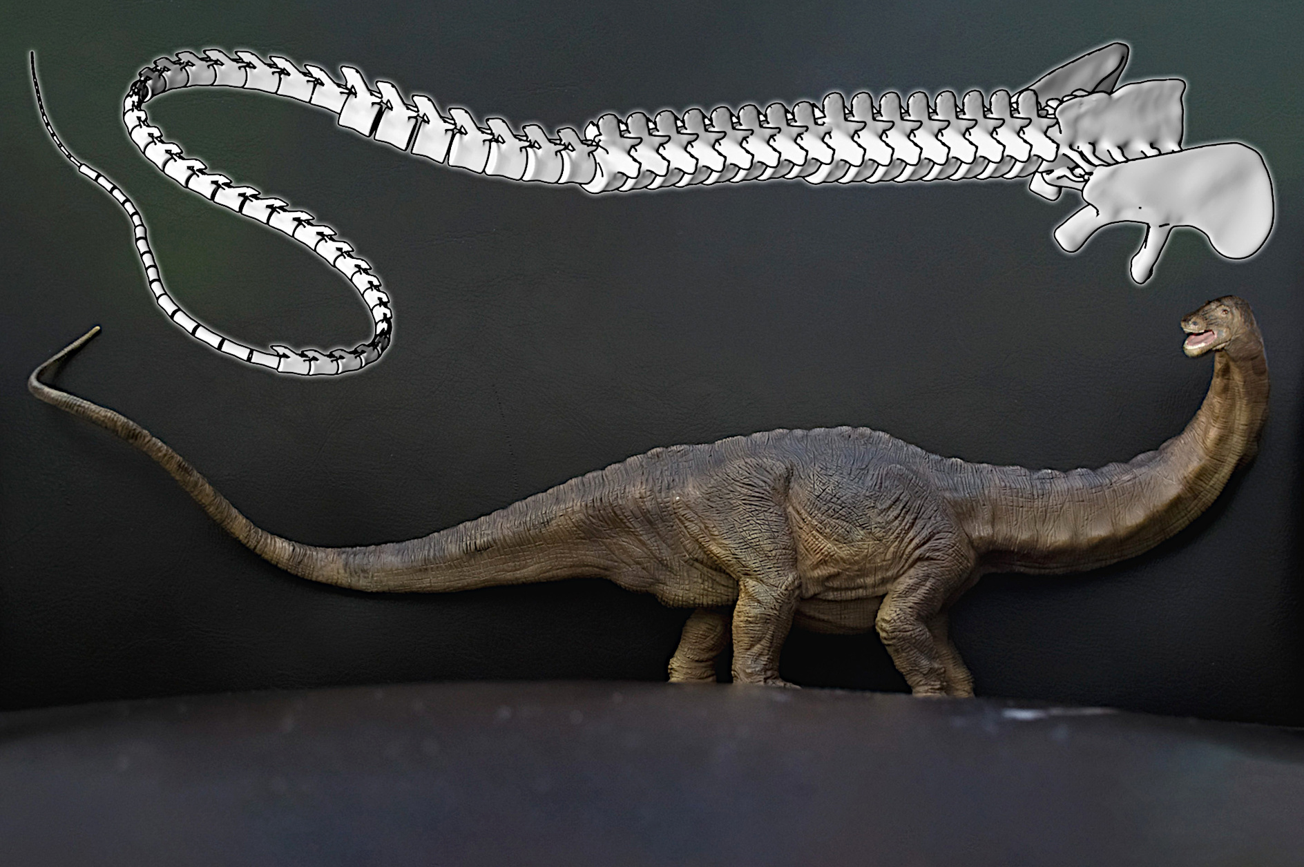 Dino-Schwanz: Doch kein Überschall-Peitschenknall