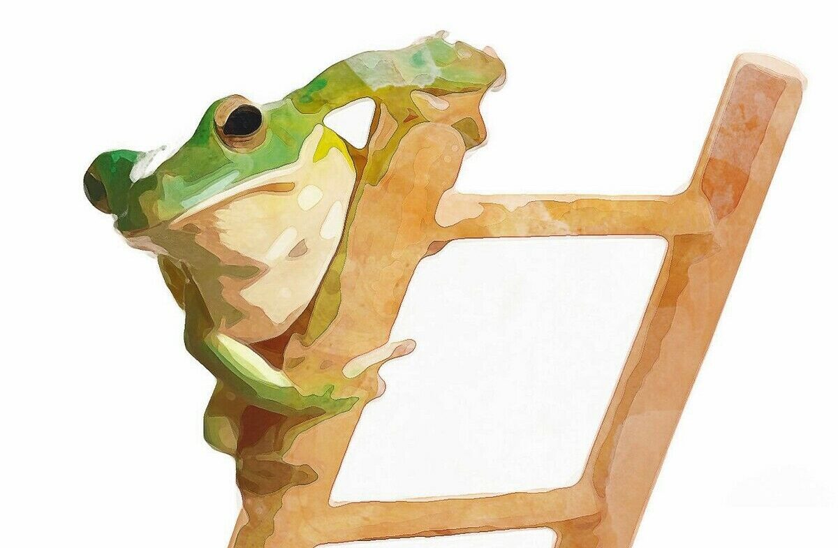 Der Wetterfrosch in uns