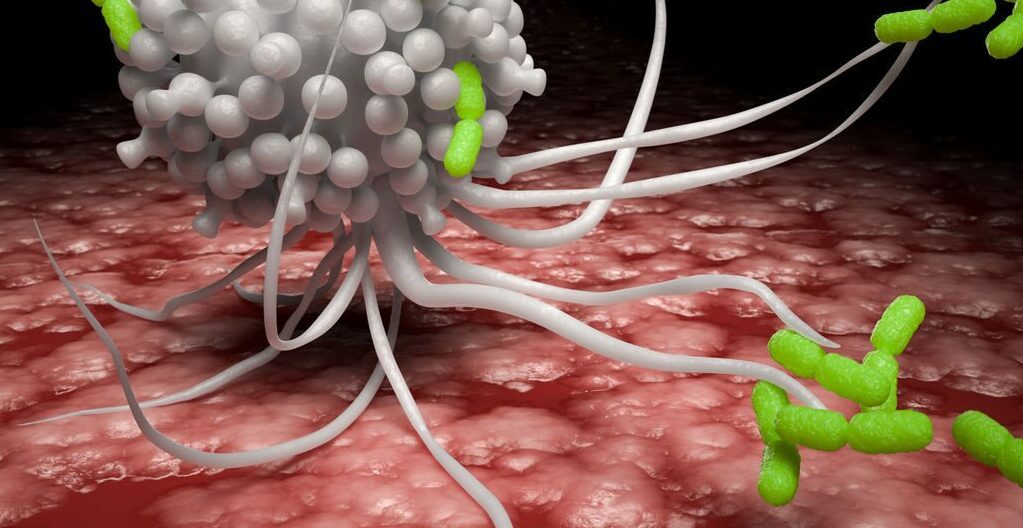 Immunsystem mit Schlagkraft