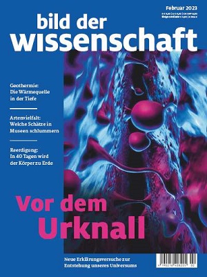 Vor dem Urknall