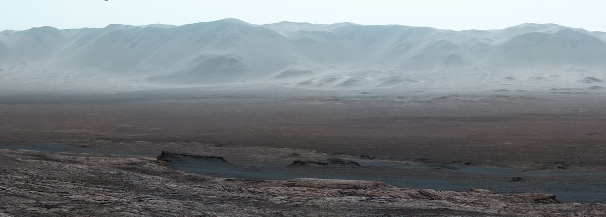 Algen und Pilze auf dem Mars?