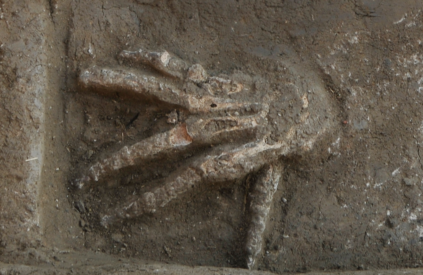 Hand-Trophäen für den Pharao