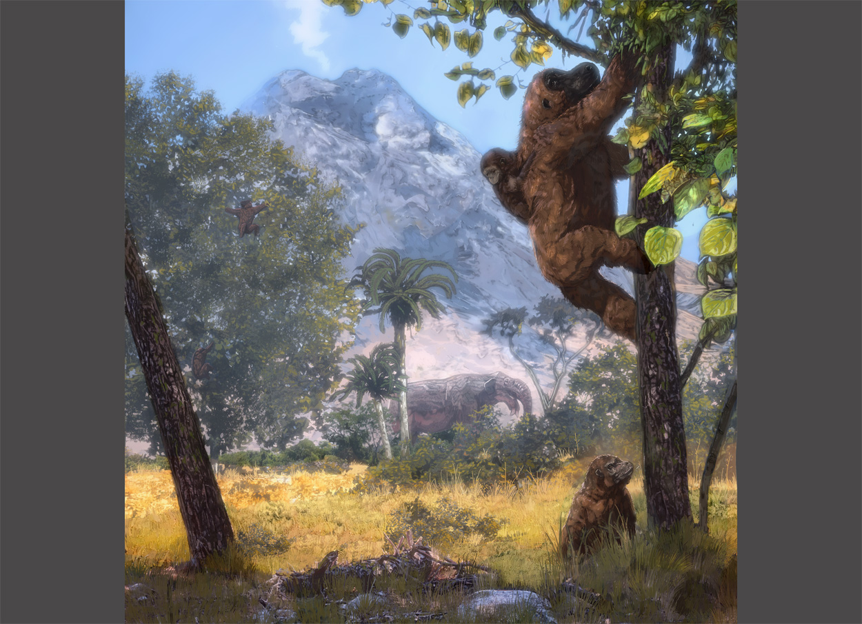 Offene Landschaften prägten Evolution der Hominoiden