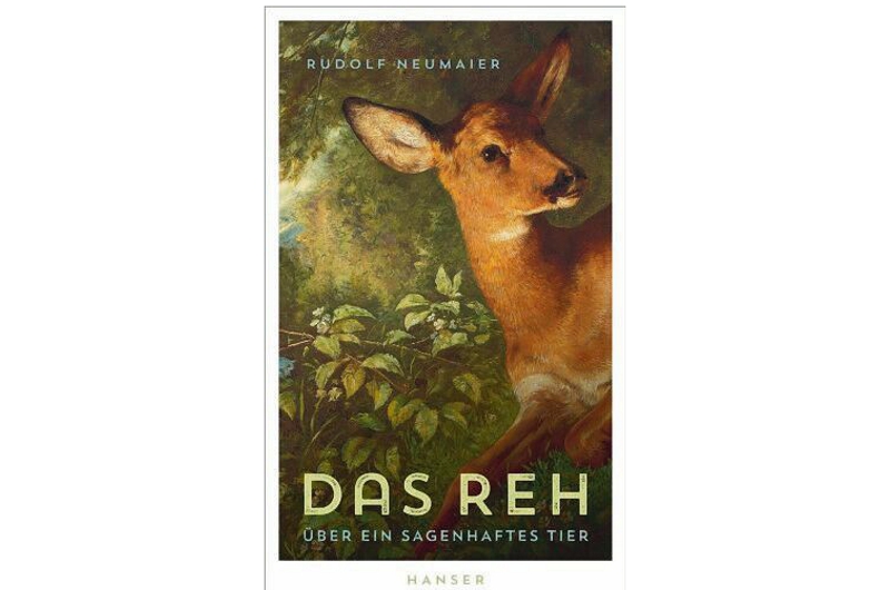 Plädoyer für das Reh