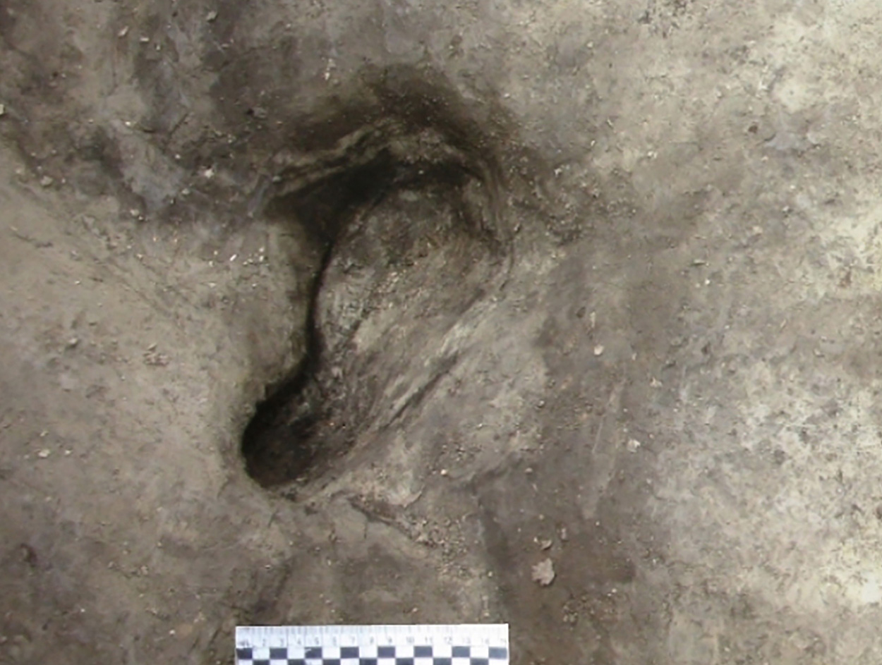 Älteste Fußabdrücke Deutschlands entdeckt