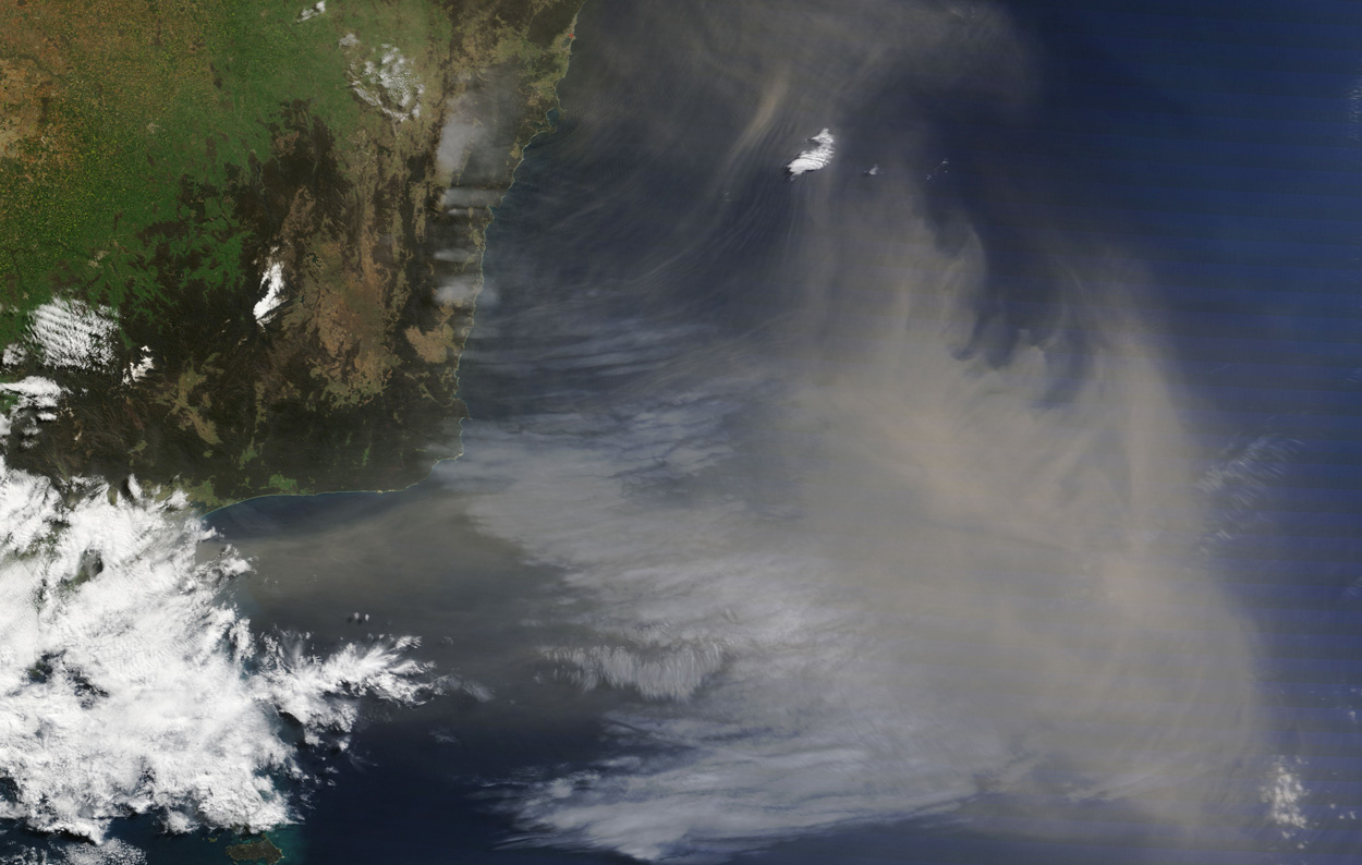 Ozeane: Nährstoffe aus atmosphärischem Staub