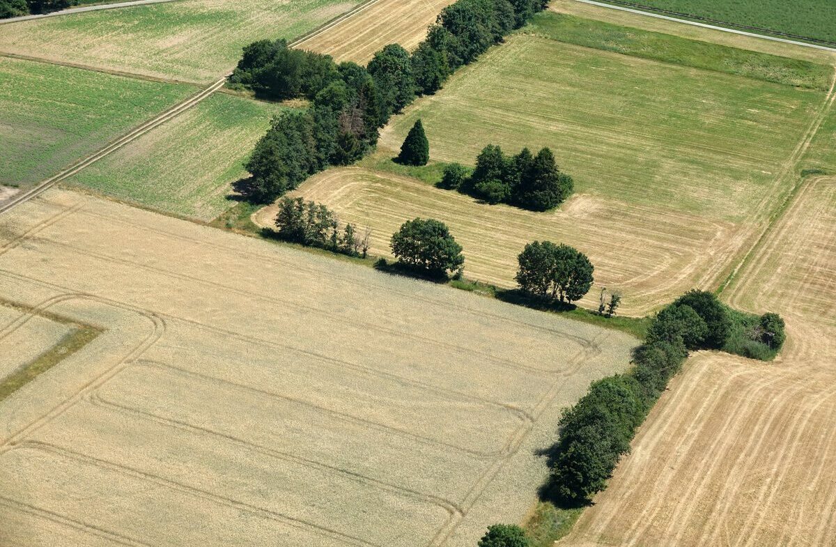 Spurensuche aus der Luft