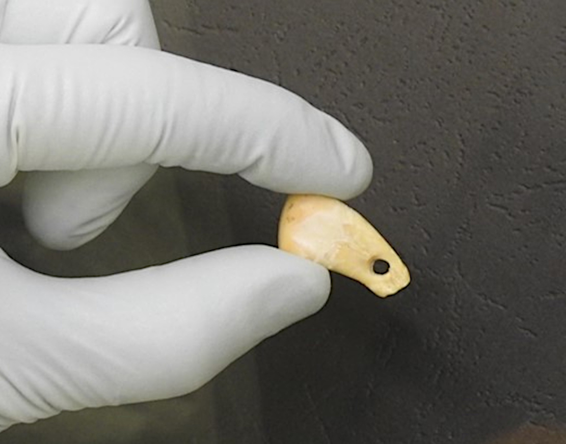 Steinzeit-Schmuck gibt Frauen-DNA preis
