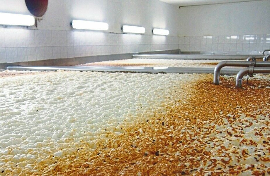 Wasserstoff aus Bier und Schokolade