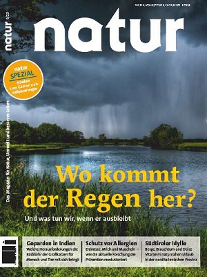 Wo kommt der Regen her?