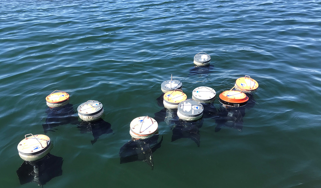 Woher kommt der Plastikmüll in der Nordsee?