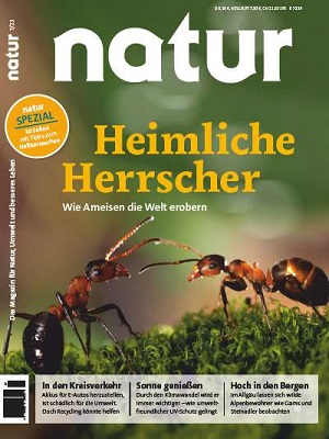 Heimliche Herrscher