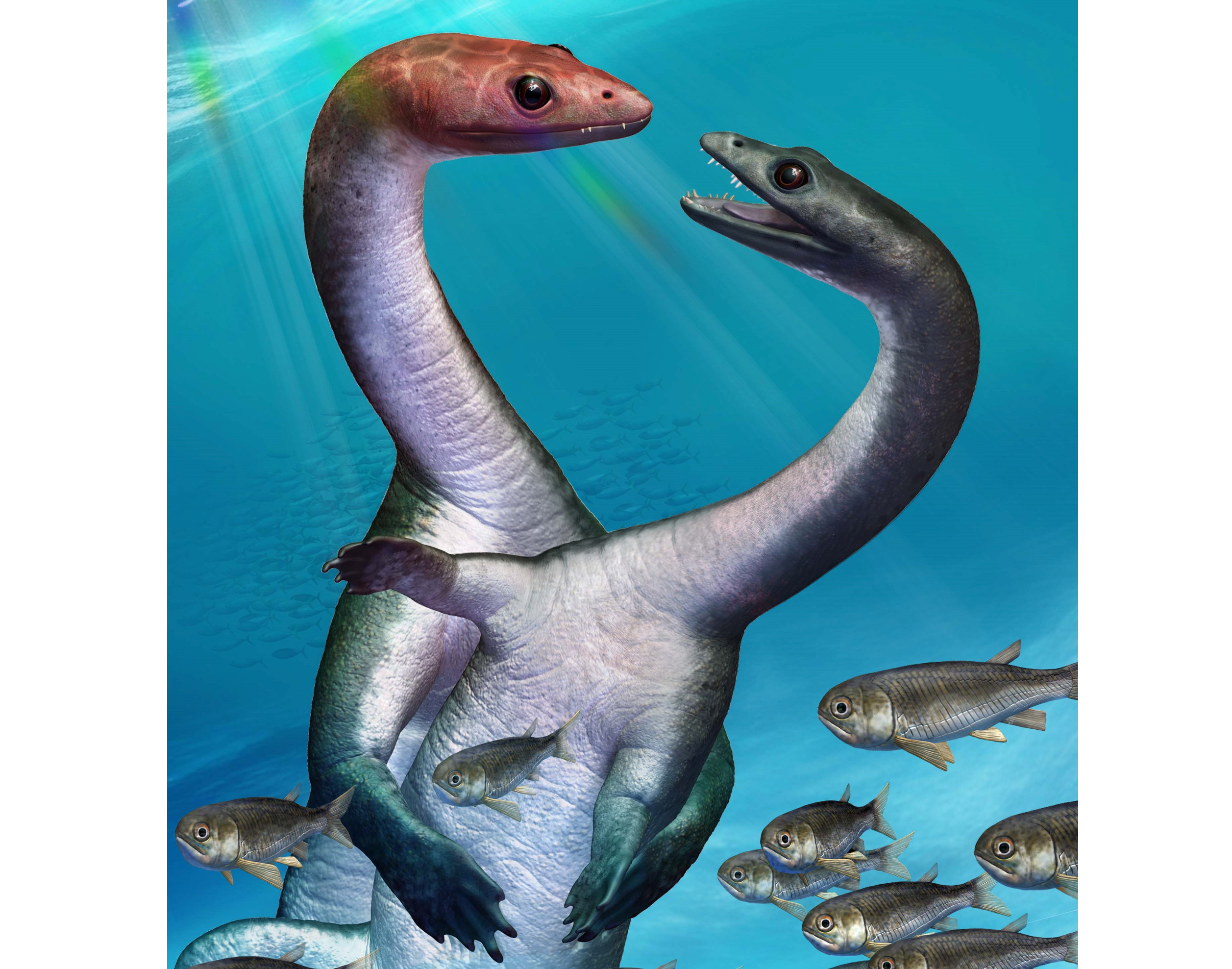 Sexuelle Entwicklung vor 240 Millionen Jahren