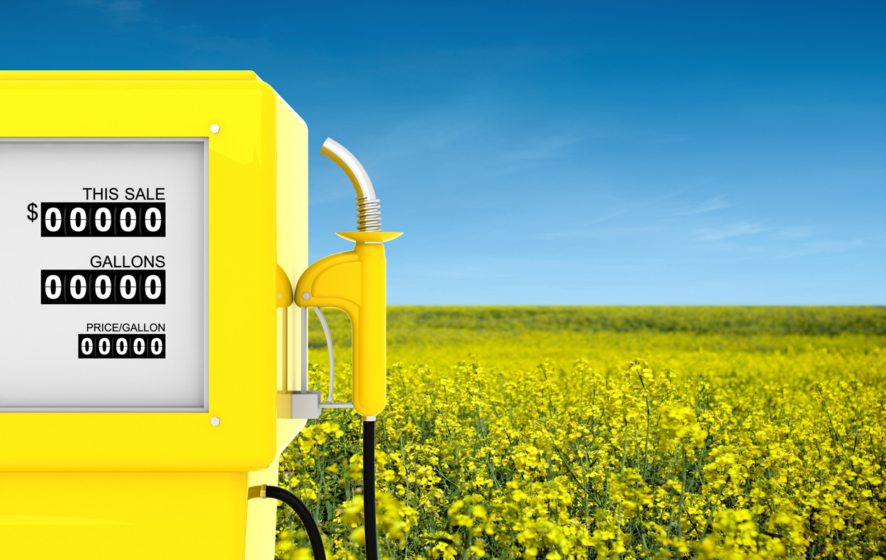 Sind Biokraftstoffe klimaschädlicher als Diesel?