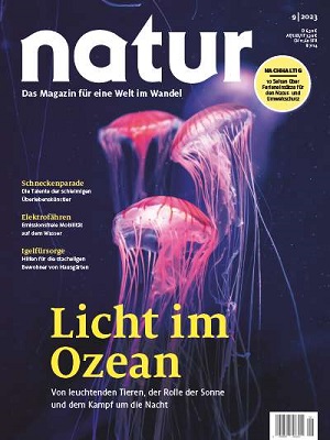 Licht im Ozean
