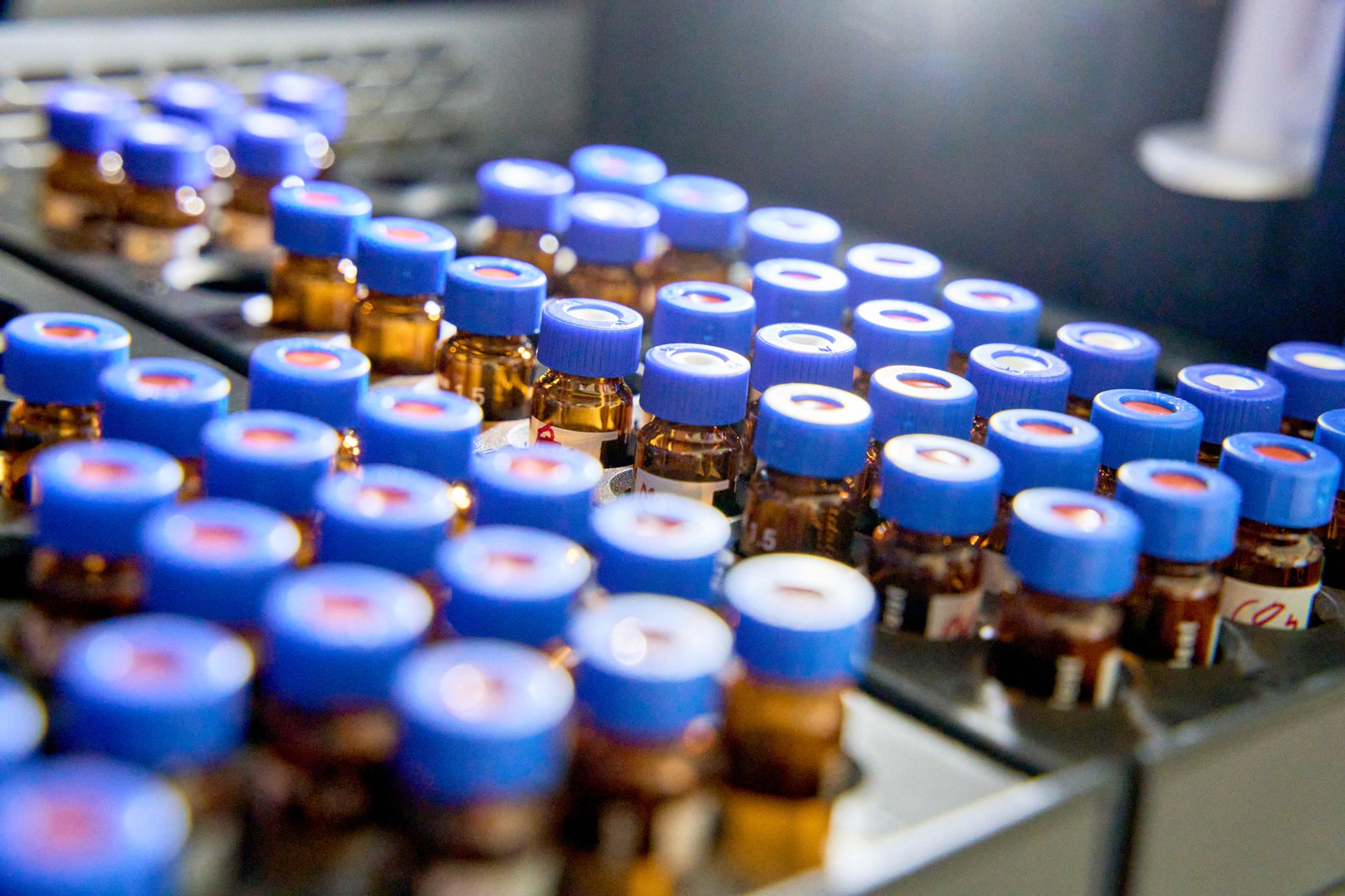 Neues Antibiotikum aus Bodenbakterien entschlüsselt
