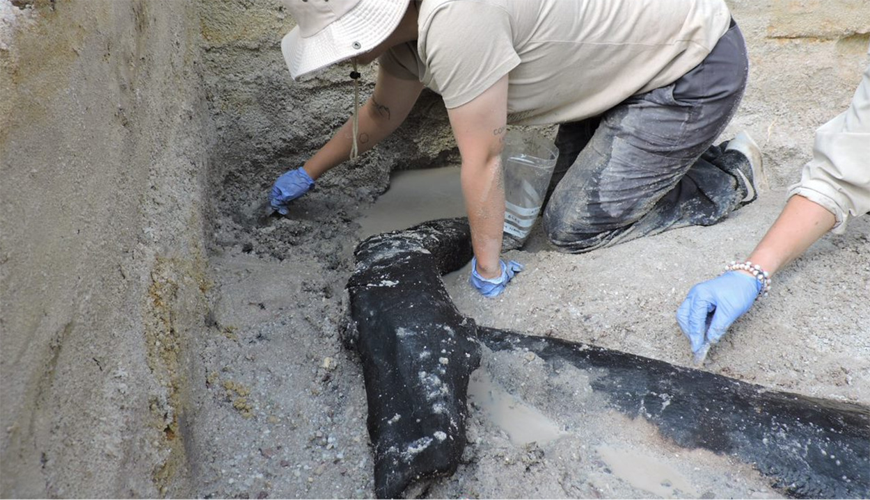 Archäologen entdecken die älteste Holzkonstruktion der Welt