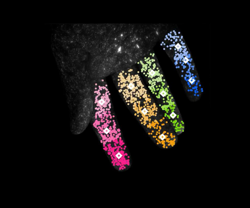 Bunte Finger als KI-Helfer