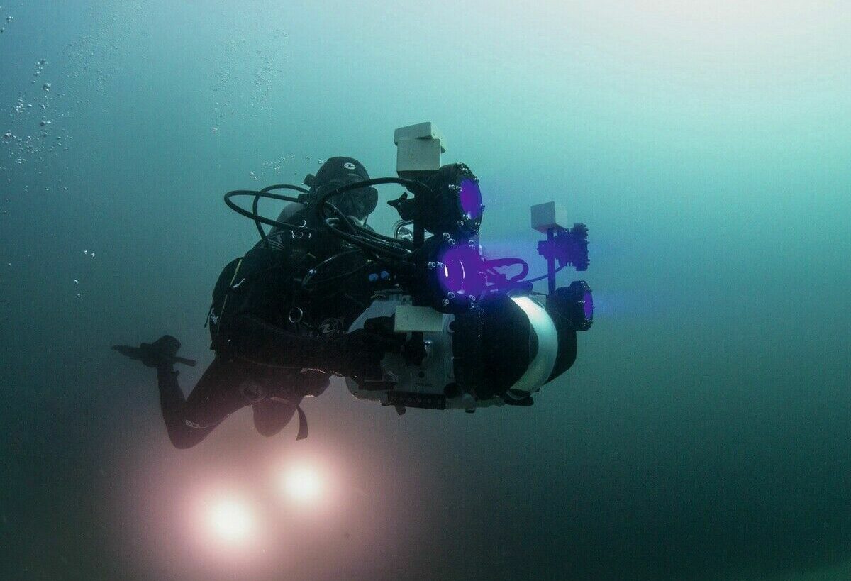 Die Entdeckung des schönen Scheins