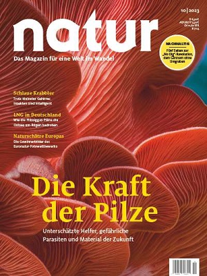 Die Kraft der Pilze