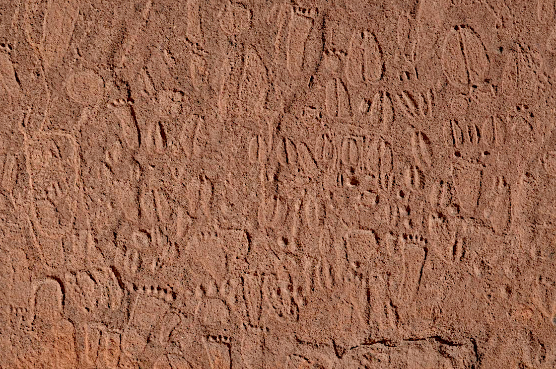 Fährtenlesen in steinzeitlicher Felskunst