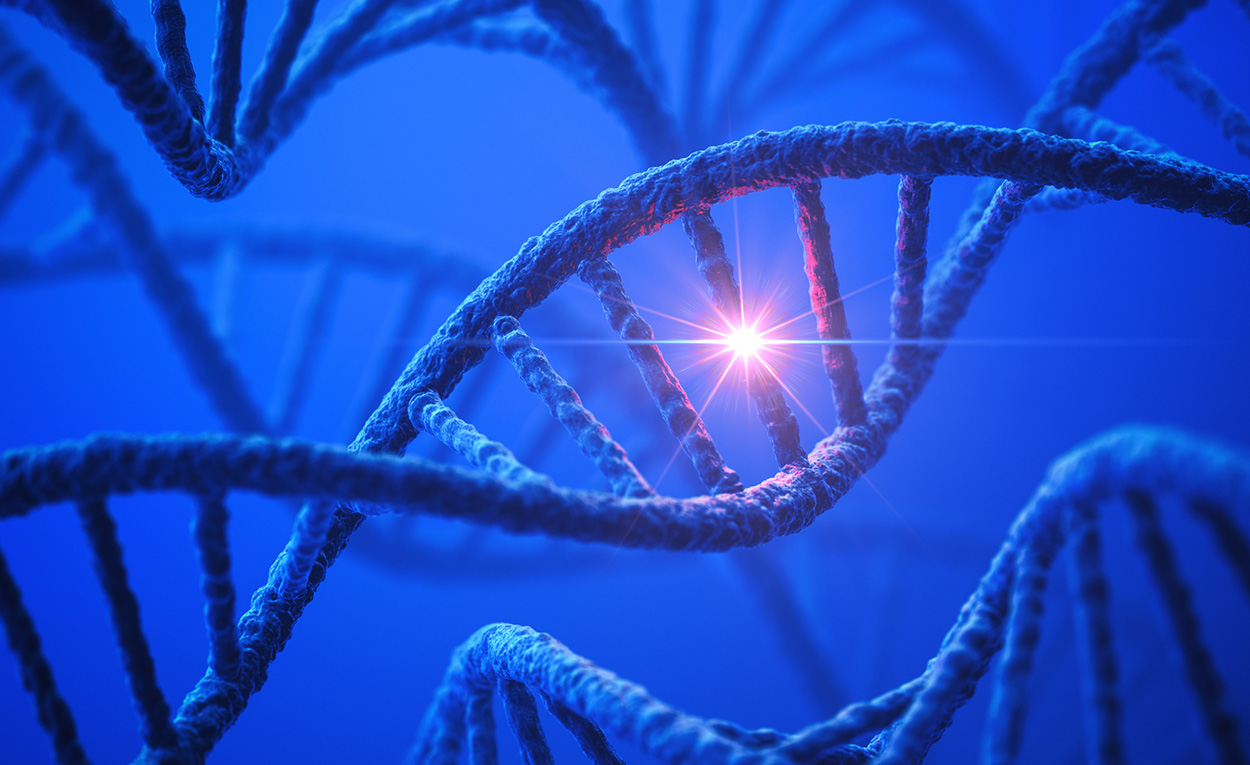 Künstliche Intelligenz sagt schädliche Genmutationen voraus