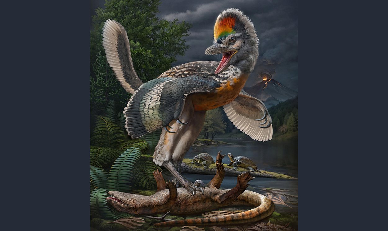 Langbeiniger Dinosaurier als Bindeglied zu den Vögeln