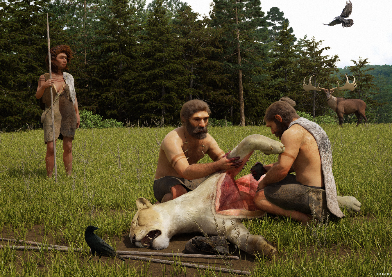 Höhlenlöwe: Beute und Fell-Lieferant der Neandertaler