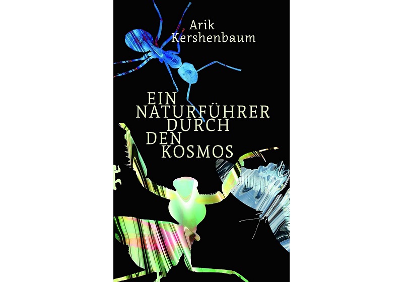 Leben folgt Regeln