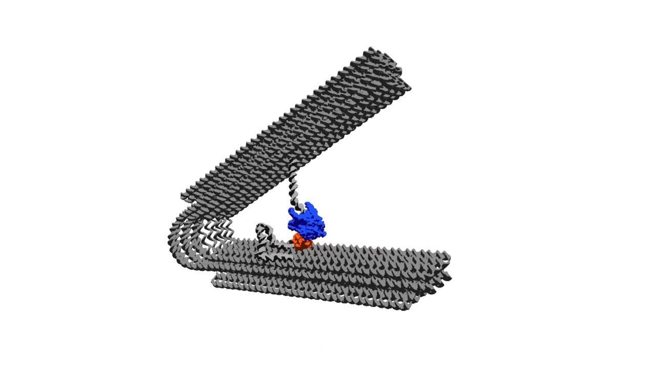 Raffinierter Nano-Motor entwickelt