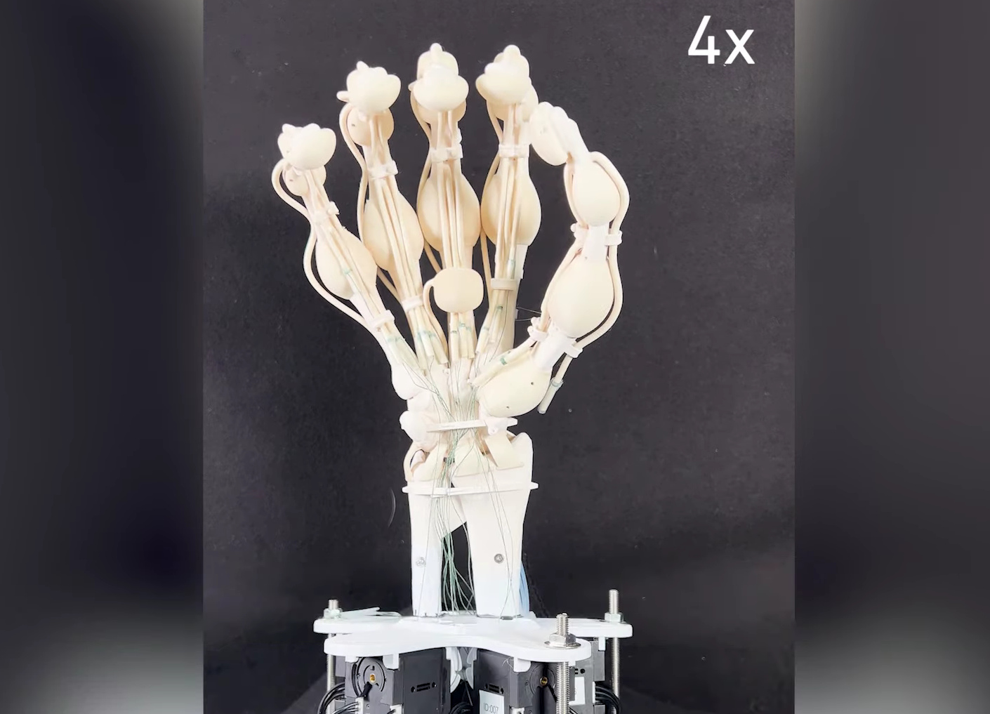 3D-gedruckte Roboter