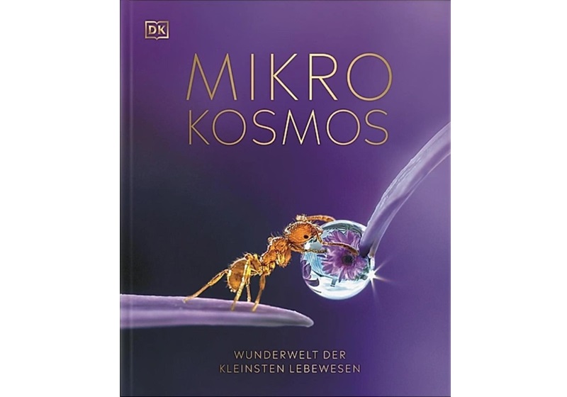 Das Buch, das am schönsten gestaltet ist 2023