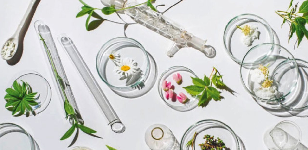 Naturstoffe in der Medizin