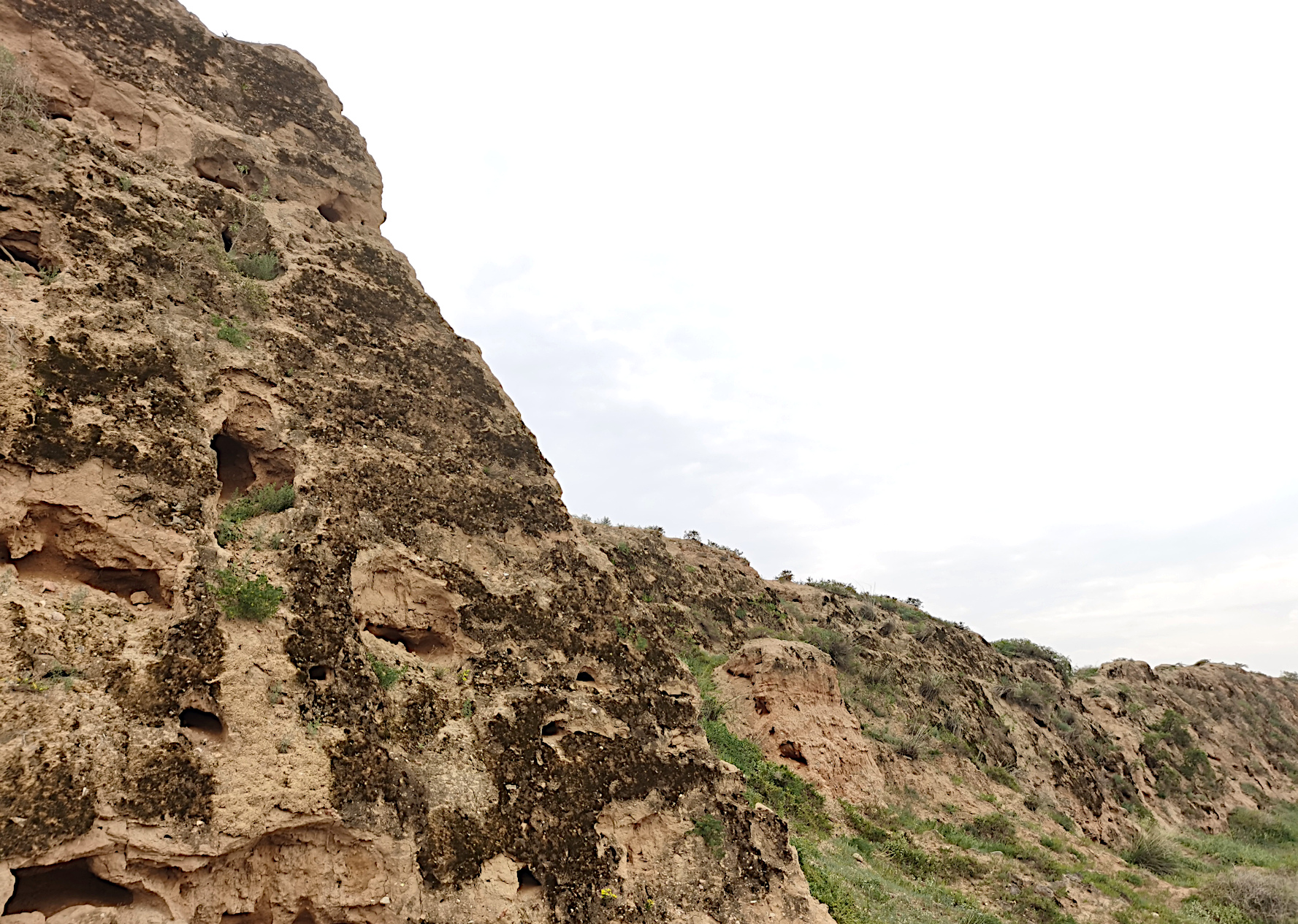 "Biokrusten" schützen die Chinesische Mauer